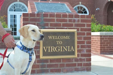 pet friendly hotels danville va|The Best Pet.